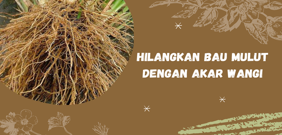 Hilangkan Bau Mulut dengan Akar Wangi